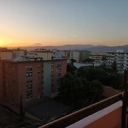 Joseph's House 게스트하우스